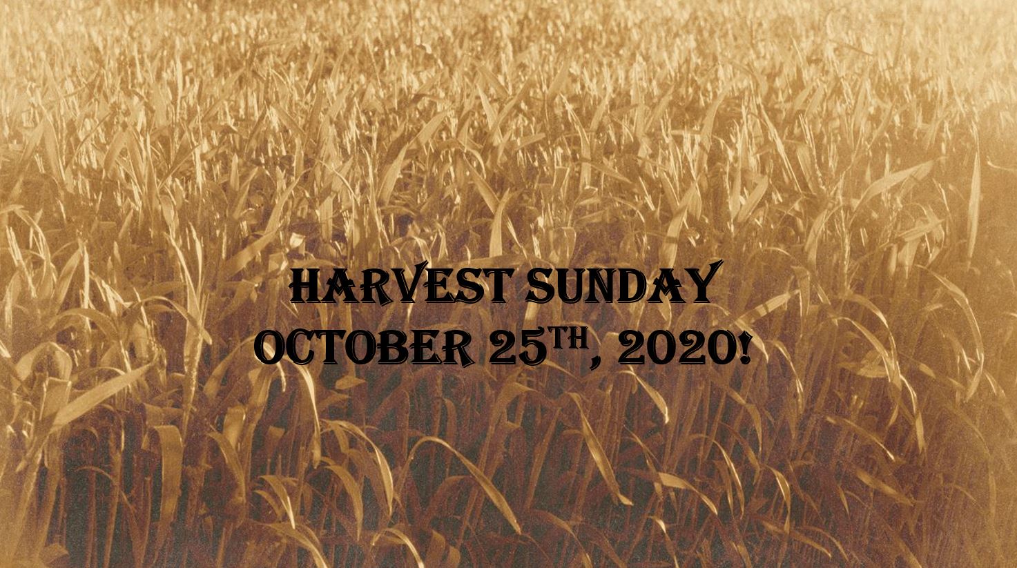Harvest Sunday! LEVY CHURCH OF CHRIST